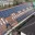 Solar PV Installation by Up Top Solar