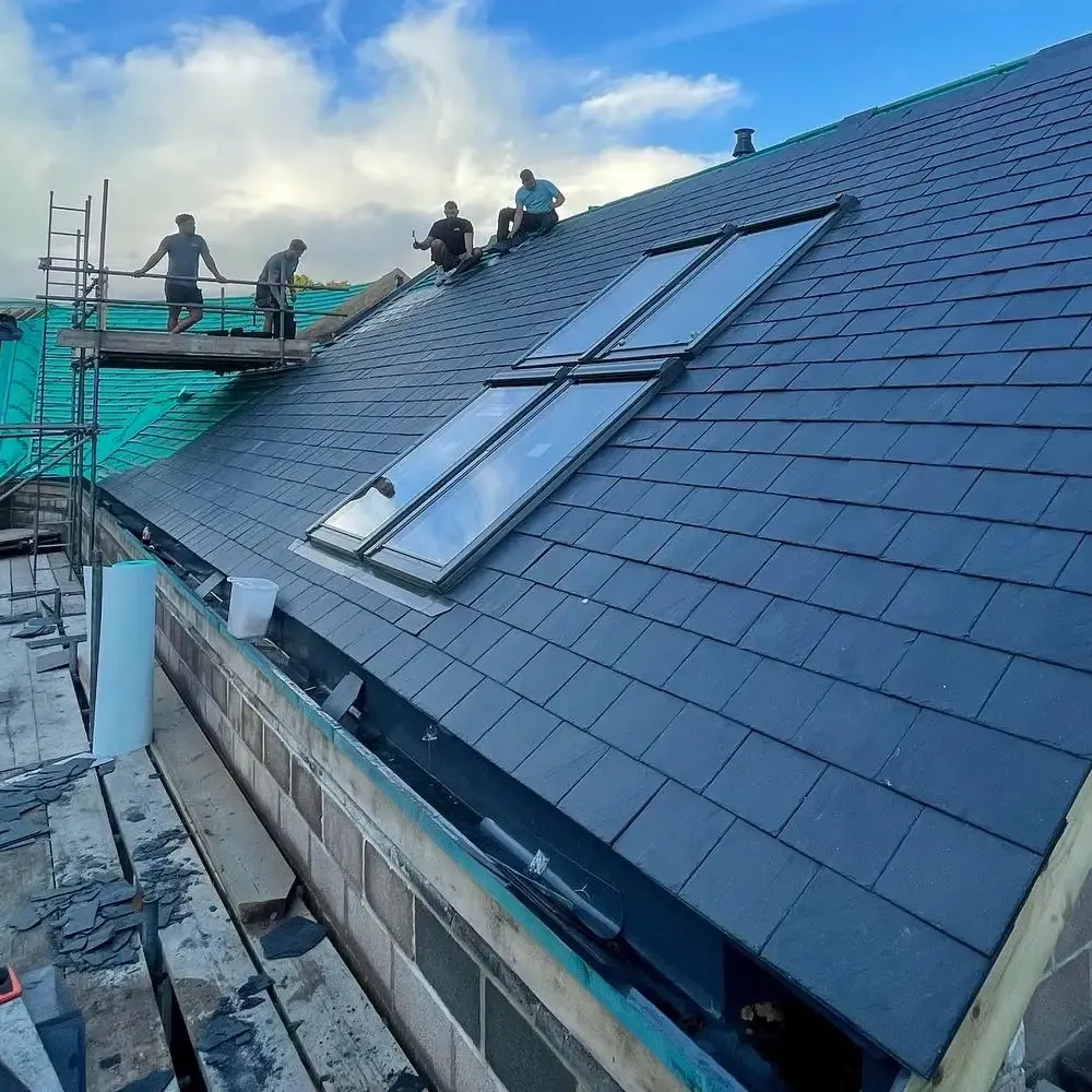 Velux Windows roofing service
